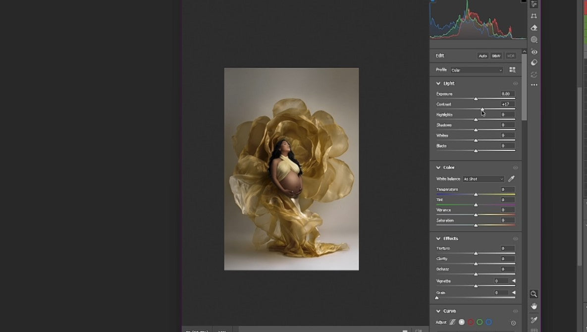 Flower Dress Video Tutorial + Digital Backgrounds β Photoshop Only (Intermediate)